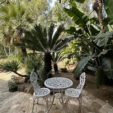 La Petite Etoile